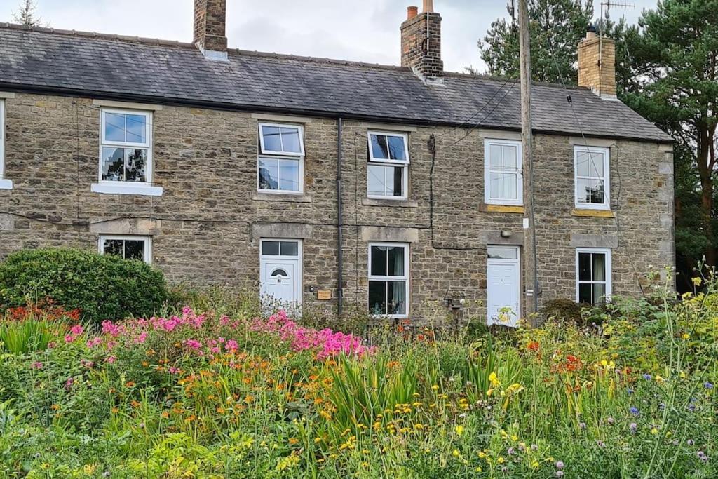 Woodcutters Cottage, Northumberland Haltwhistle Kültér fotó